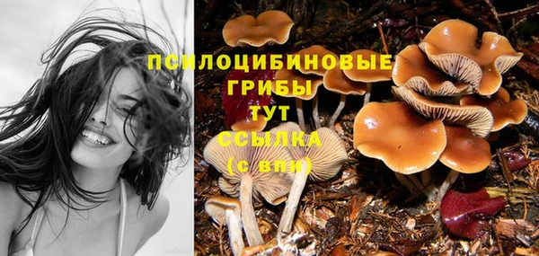 mix Ельня