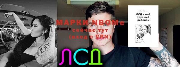 твердый Елизово