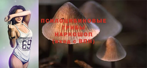 твердый Елизово