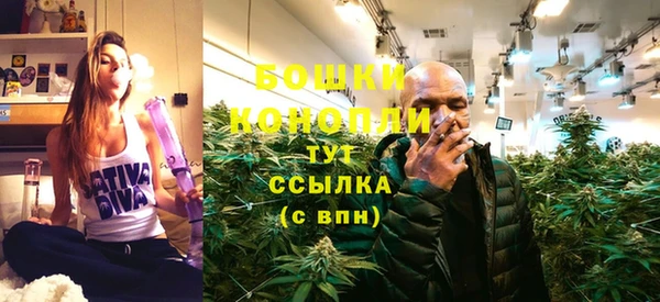 твердый Елизово