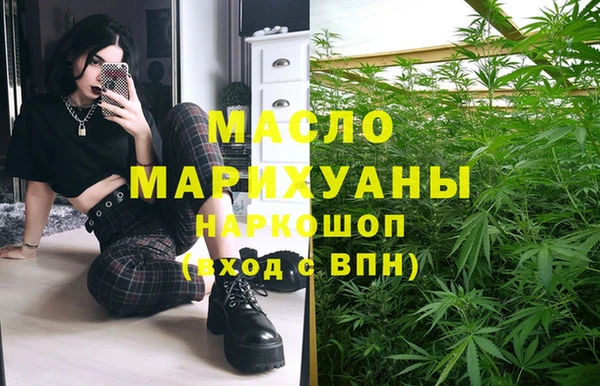 mix Ельня