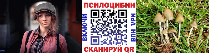 Купить закладки  Щёкино  Галлюциногенные грибы прущие грибы 